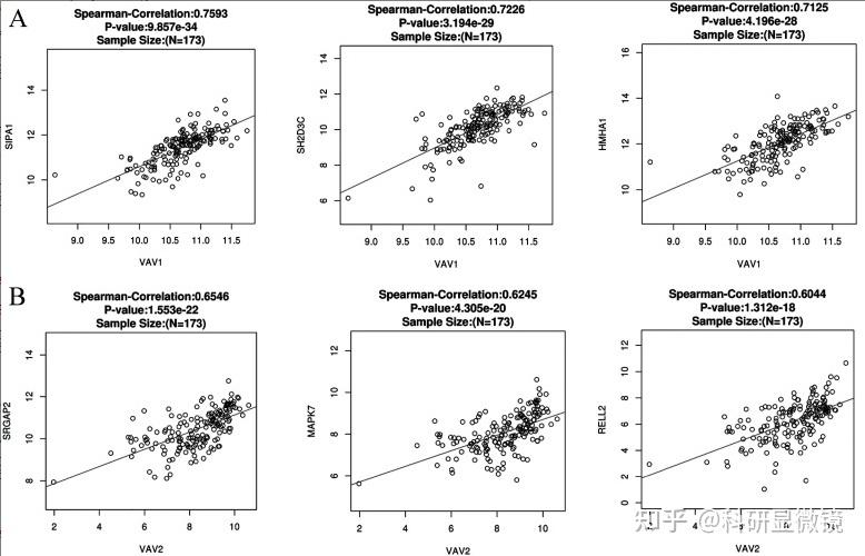 点击查看用GraphPad做基因表达相关性散点图 知乎