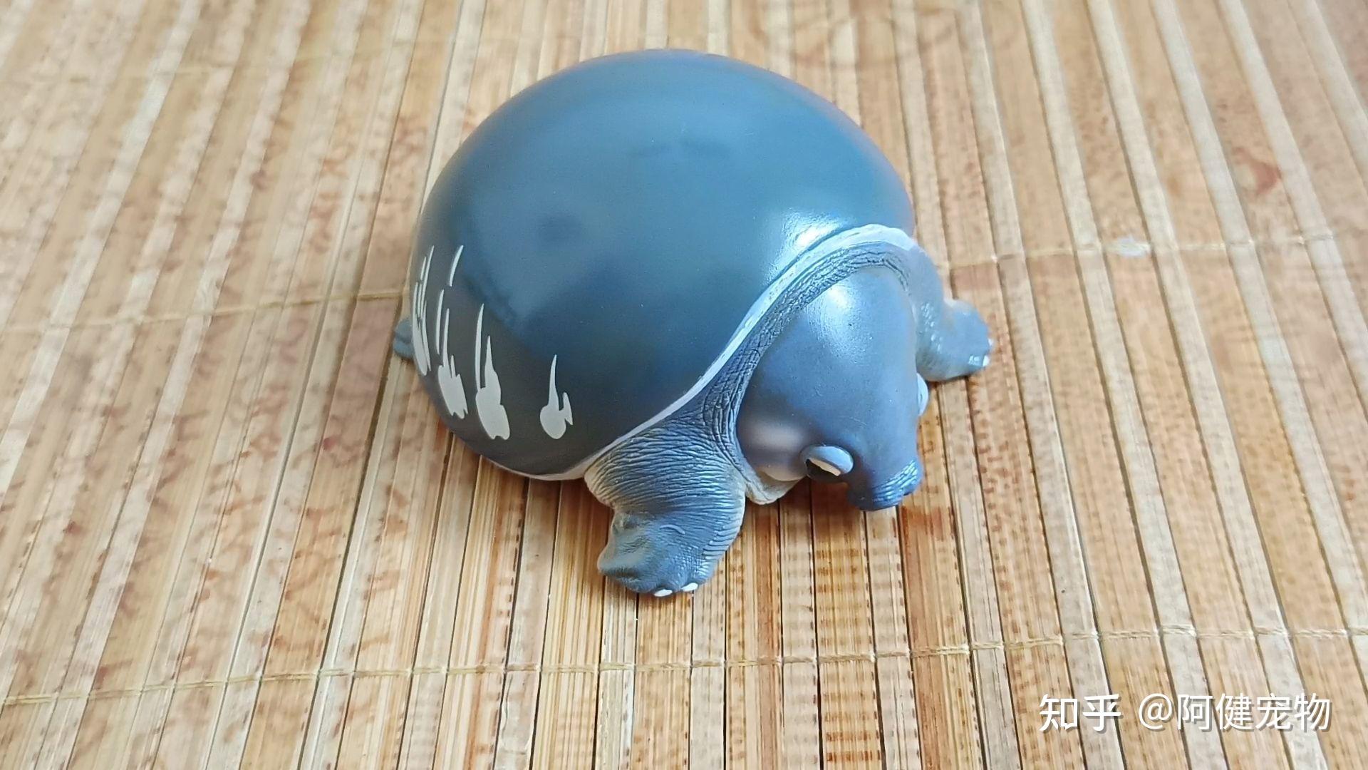 动物星球第3弹的苏卡达陆龟猪鼻龟辐射陆龟鹰嘴龟手办实在太可爱了