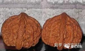 文玩核桃的各种种类区分及图片(超详细)！ - 知乎