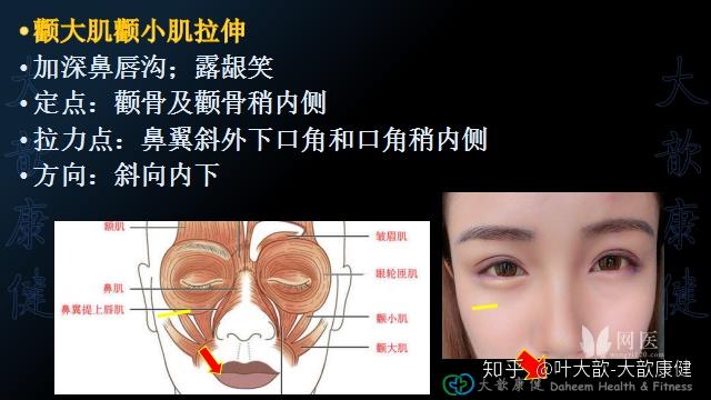 自我怎么减除法令纹? - 知乎