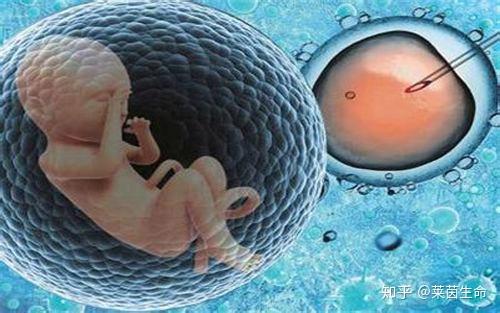 什么叫三代试管婴儿技术 v2-b8df3924469ce206a542a6bc735e158d_r.jpg