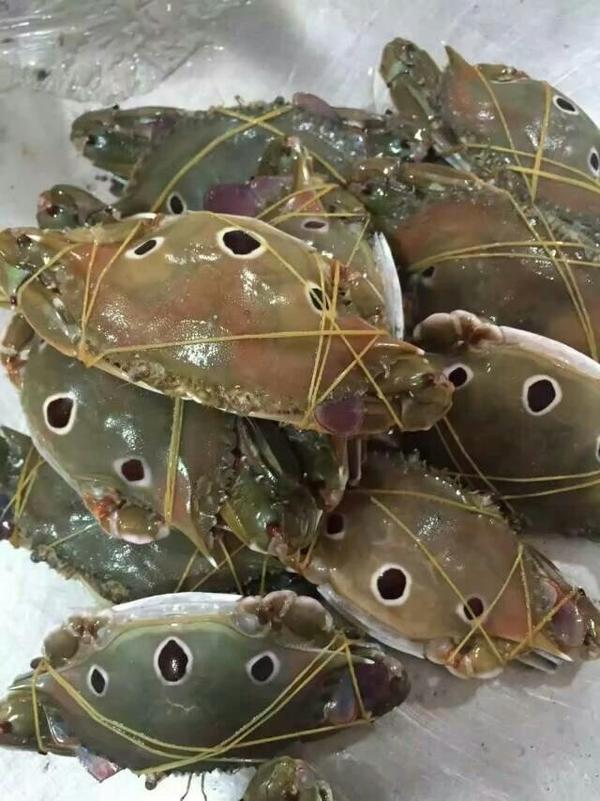 东山岛海鲜为什么好东山海鲜图片