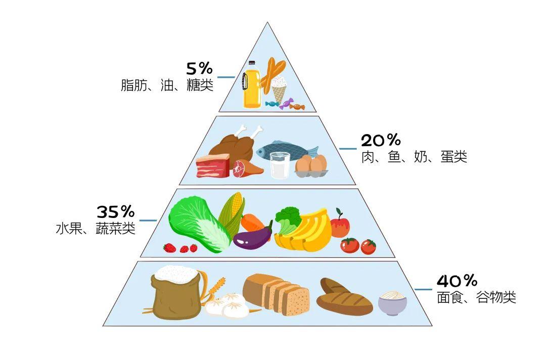 营养均衡,蔬菜,水果,肉类,谷类,奶制品等食物要搭配得当,做到不挑食