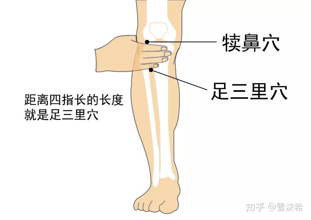 脾虚艾灸哪里效果最好图片