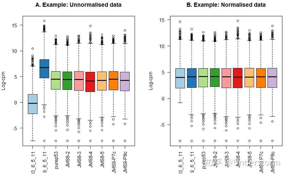 Rnaseq Tpm
