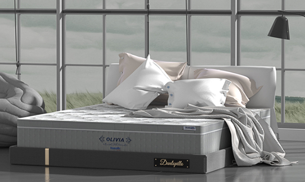 邓禄普床垫选购指南2022邓禄普床垫推荐邓禄普特拉雷乳胶床垫