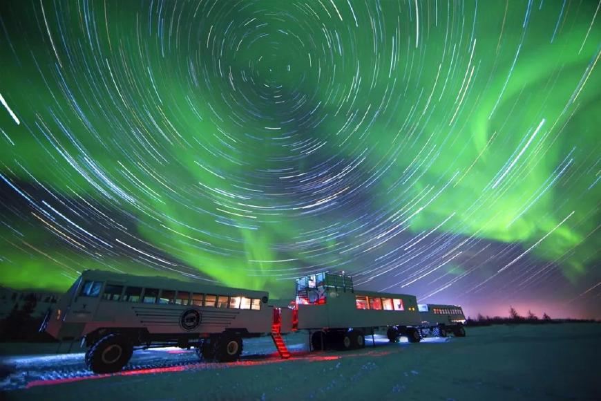 bbc纪录片现场:1000多只野生北极熊陪你看加拿大午夜极光 