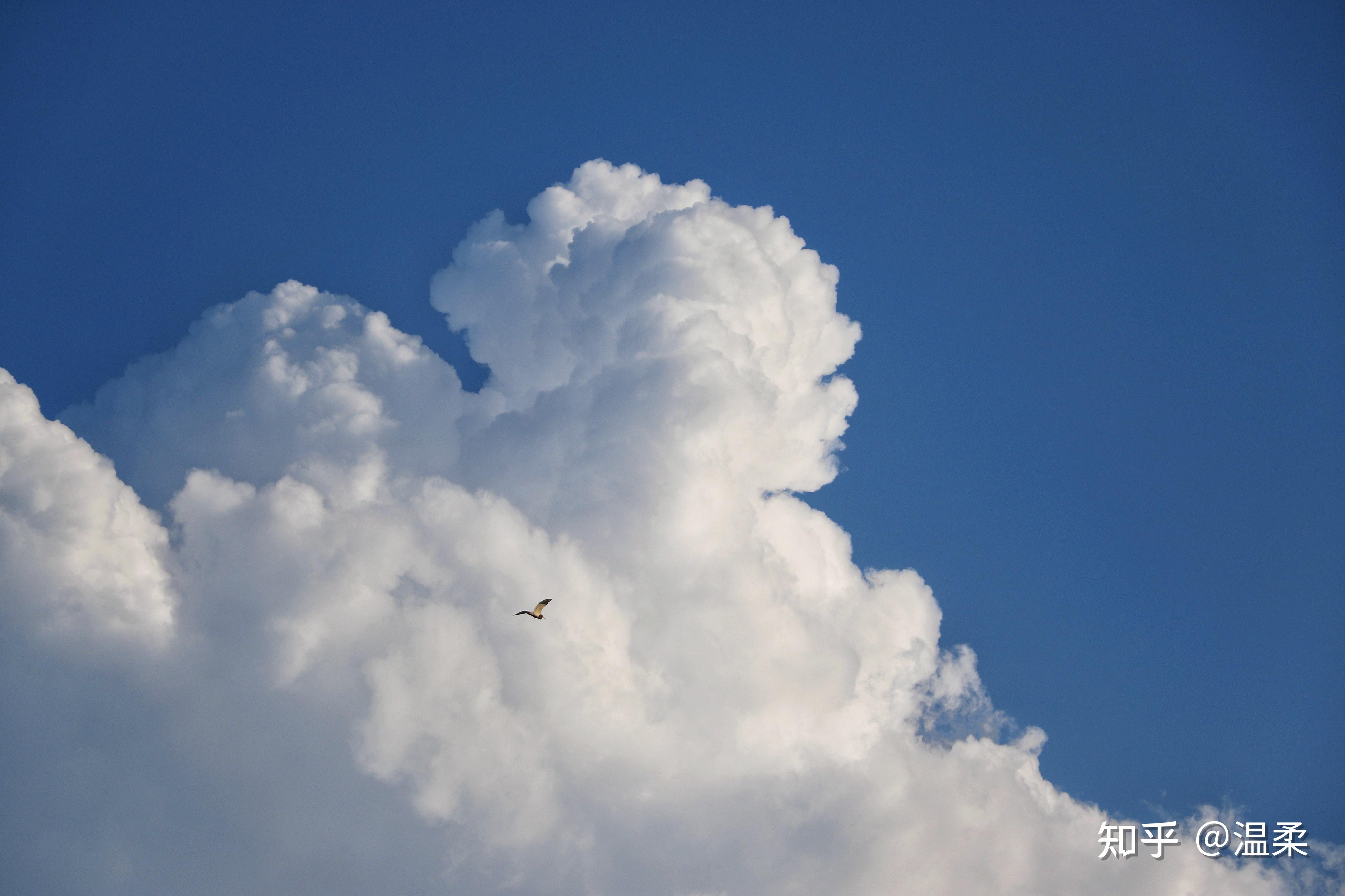 可以分享一张好看的夏天风景照吗? - 知乎