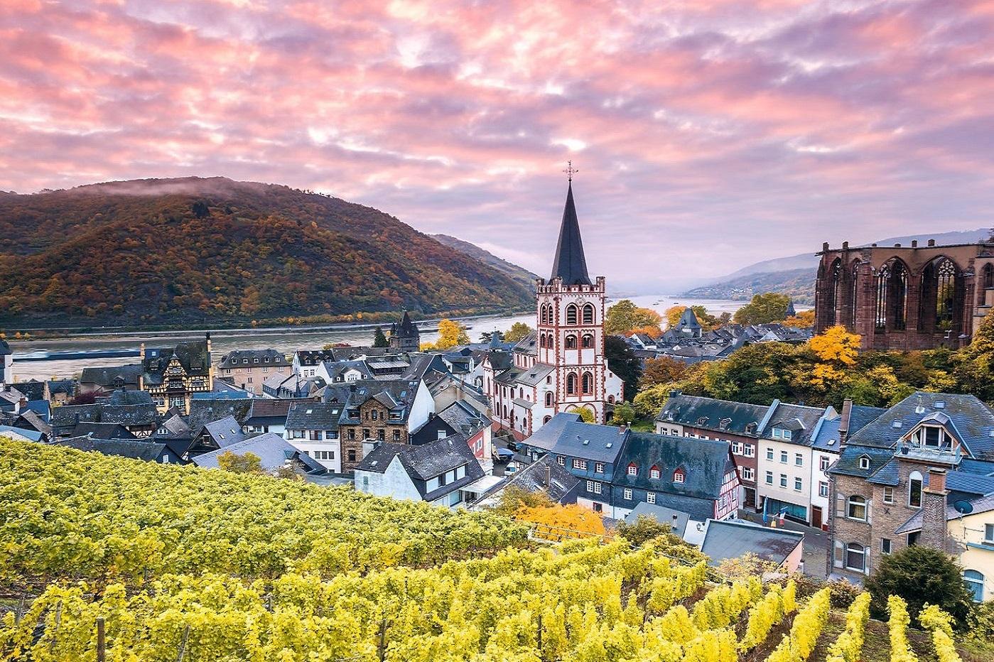 1,巴哈拉赫 bacharach 莱法州