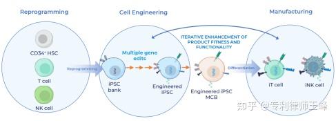 Century公司（Century Therapeutics）iPSC诱导多能干细胞专利技术分析 - 知乎