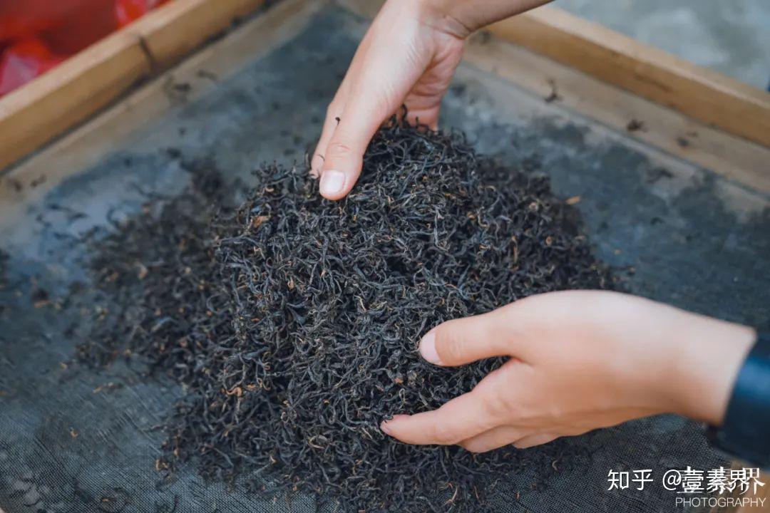 採摘萎凋揉捻發酵烘乾原來純手工做紅茶這麼有趣