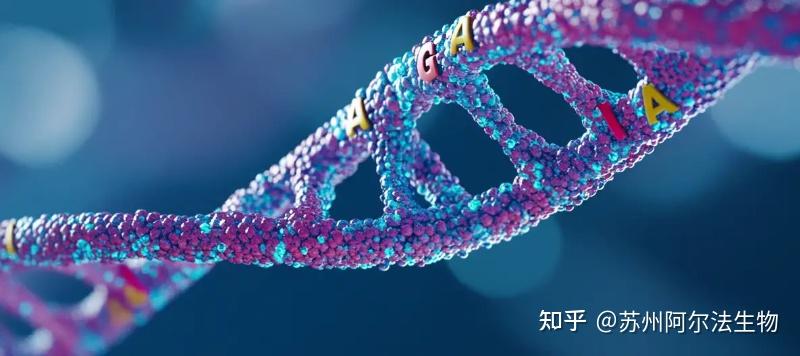 实验室DNA酶切反应的基本实验步骤 - 知乎