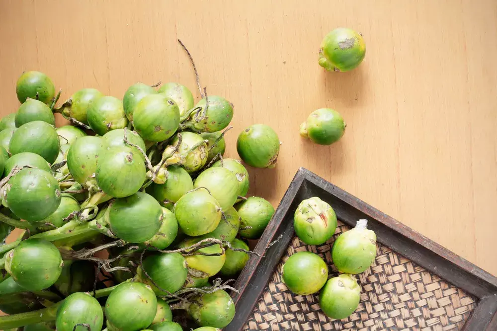 又被一国定为"毒品",加工大省湖南该限制槟榔产业吗?