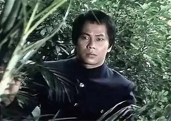 刘家辉绰号:和尚刘家辉原名冼锦熙,是洪拳大师刘湛的义子,而刘湛的