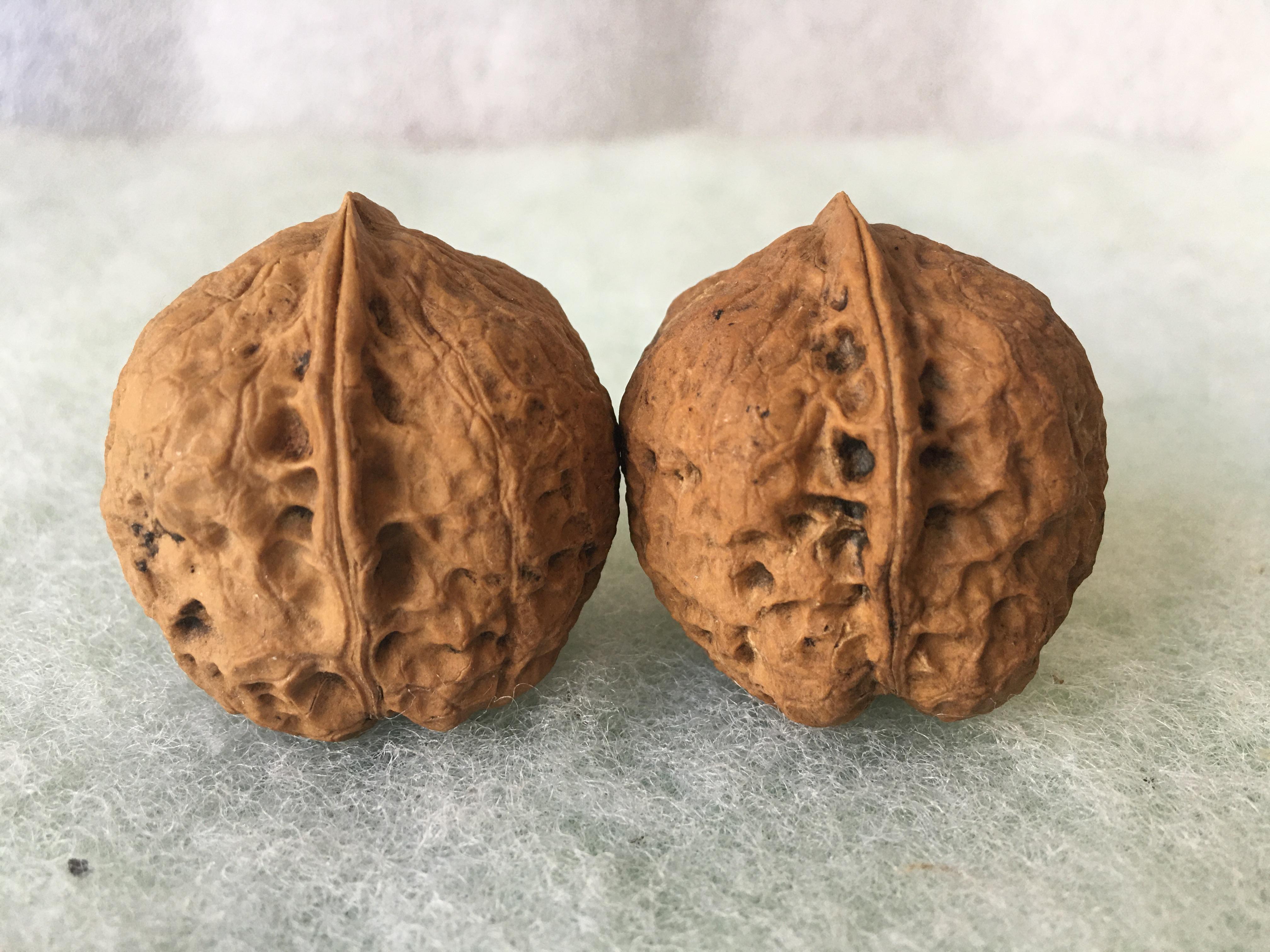 风氏文玩收藏馆关于我的一对儿铁核桃鹅卵石