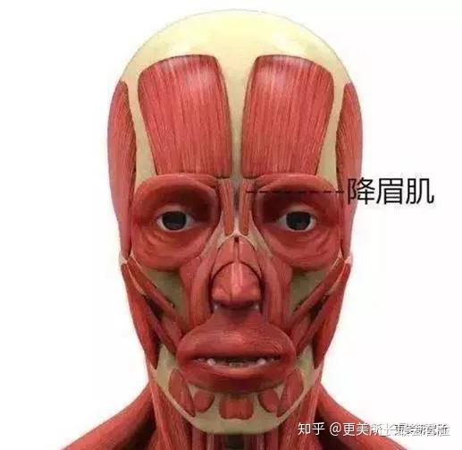 v2-b953dbaa92b564680ca3c375d929a81d_r.jpg