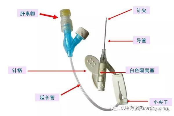 静脉留置针的应用与维护 知乎