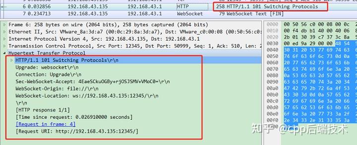 WebSocket 101-switching-protocols-http-status-code-and-cats