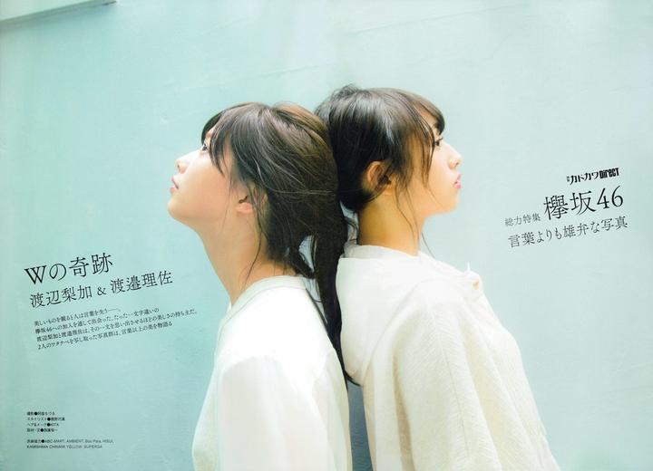 櫸坂46青春写真集 知乎 櫸坂46青春写真集 知乎