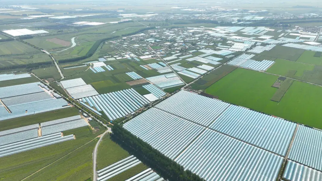 现代农业产业园的"全生命周期"的涉农金融支持方案