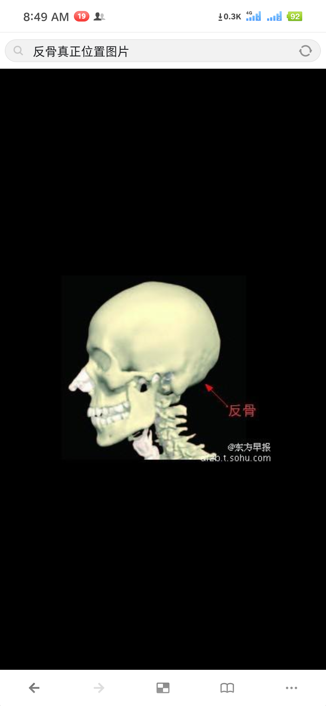 反骨长在什么位置图片图片