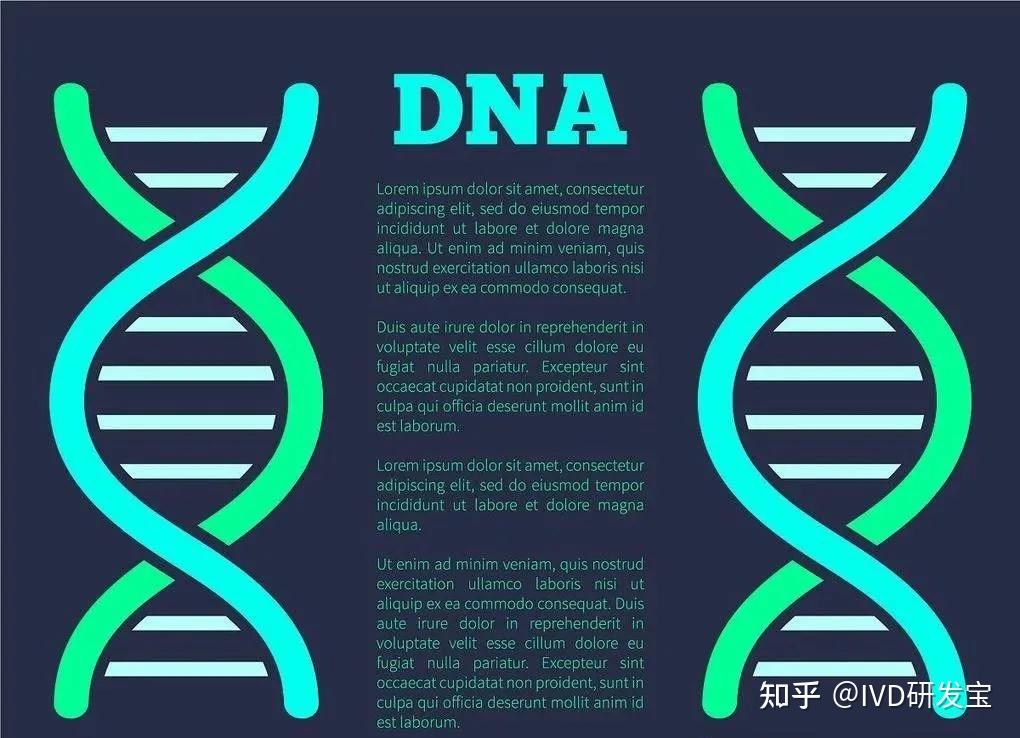 生命密码DNA,神奇组分碱基对! - 知乎