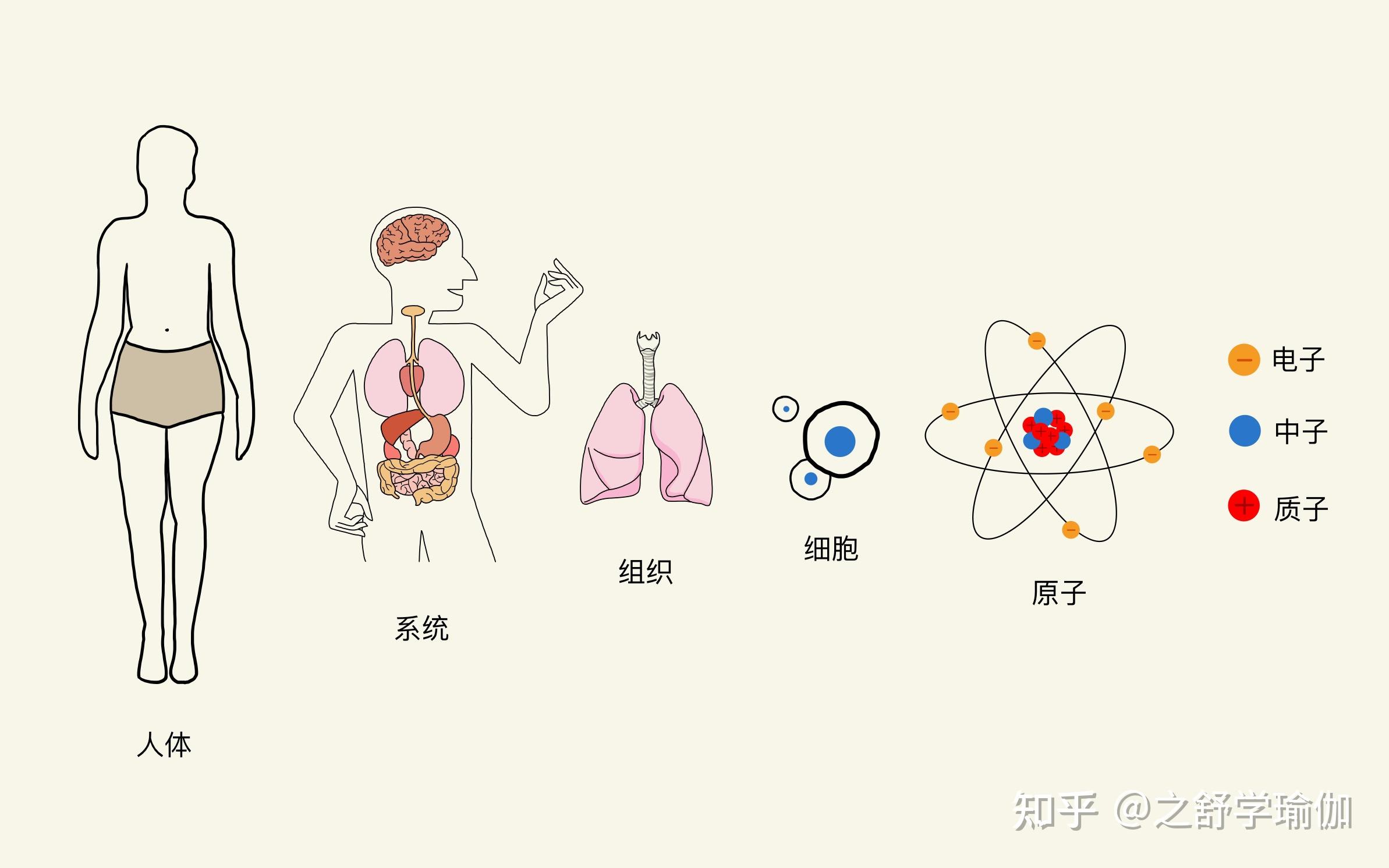 人体能量转化图图片