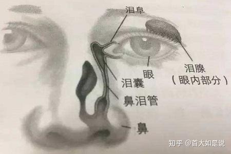 首大石萍:新生儿鼻泪管堵塞非常常见 大多会自行痊愈 - 知乎