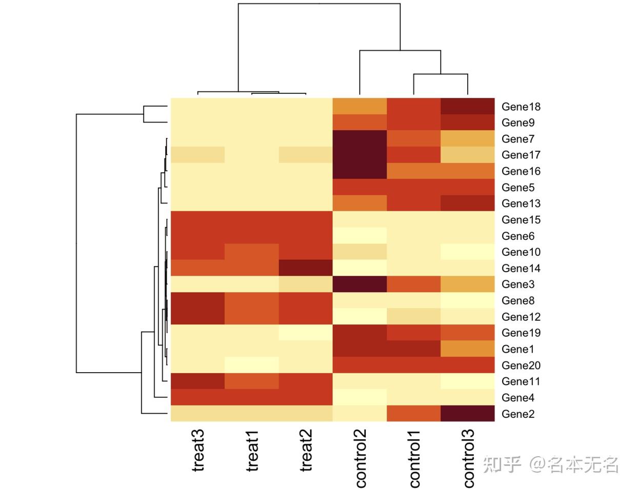 R 数据可视化 —— 聚类热图 Pheatmap 知乎