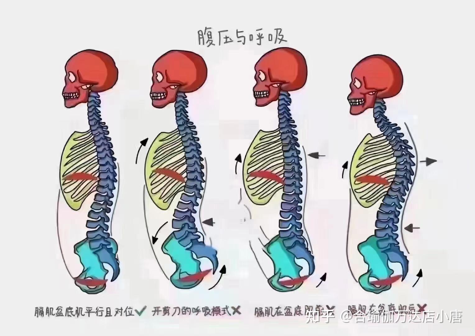 呼吸分享