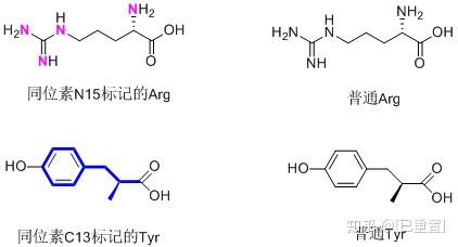 v2-b9bdd57b7378ca99cb71acf9e1b6aacd_r.jpg