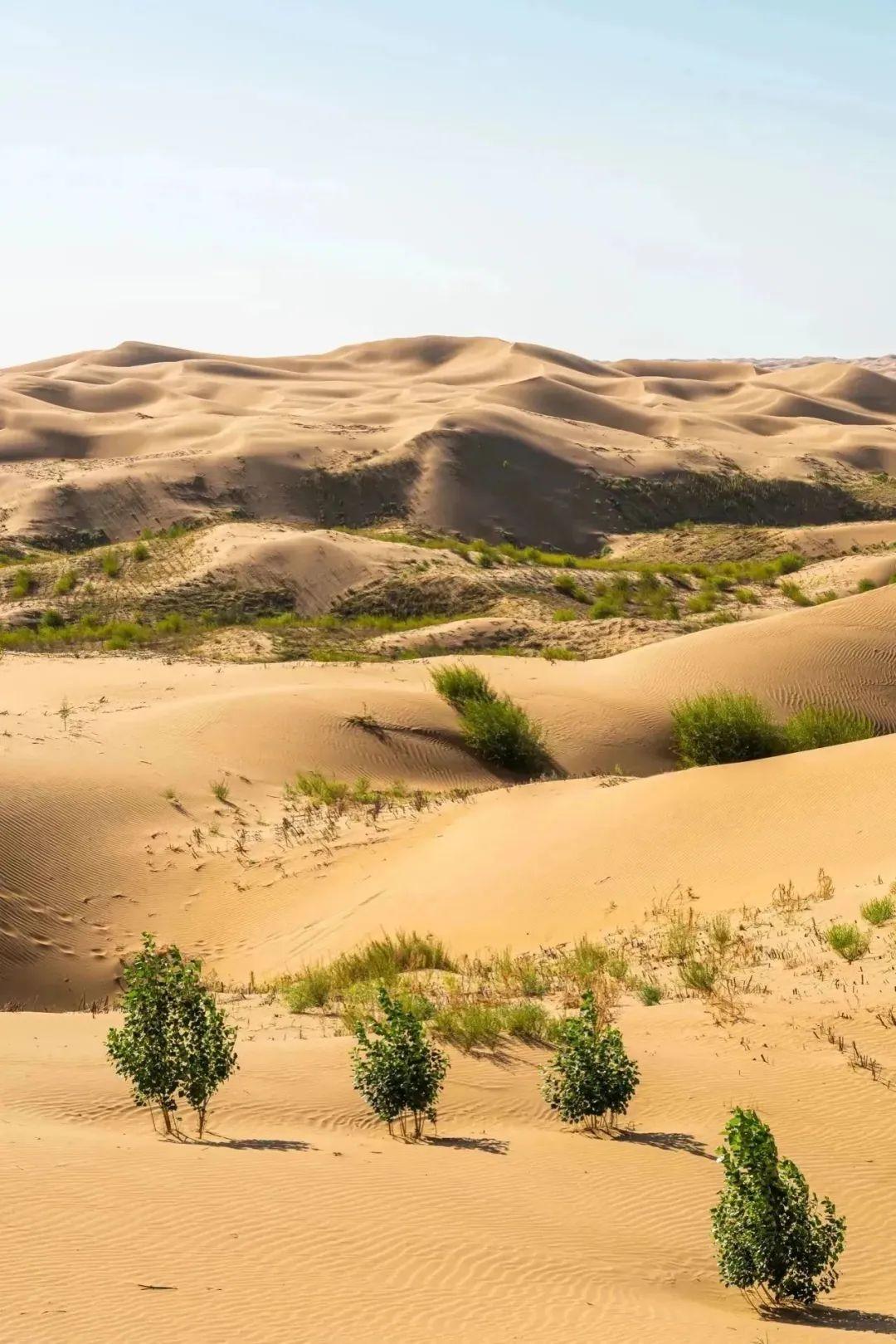 中国大陆人均gdp第一城,凭什么"长"在西北的沙漠里? - 知乎