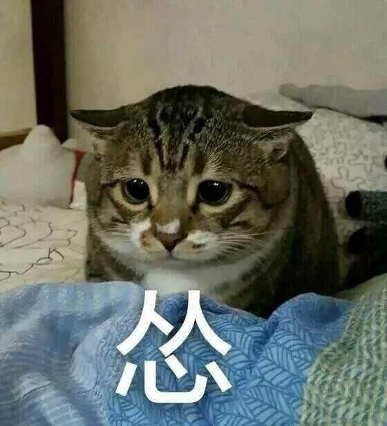 谁能预测龙族5什么时候出?