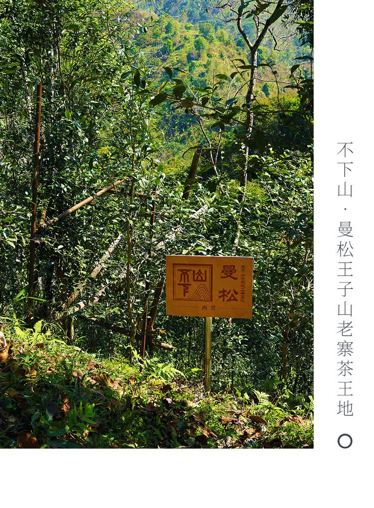 2022守山志不下山曼松王子山