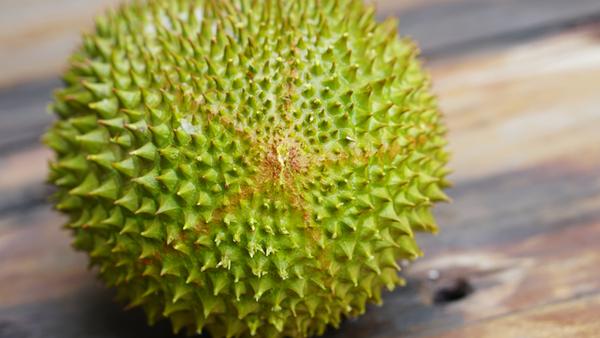 屁股是五角星传说中的猫山王榴莲马榴皇族开箱来了