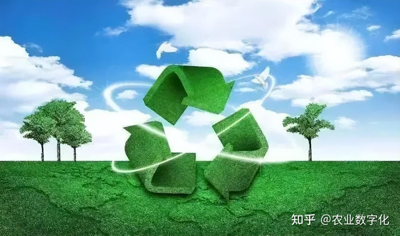 什么是碳汇、碳排放权、碳排放配额、CCER、碳排放权交易、碳资产? - 知乎