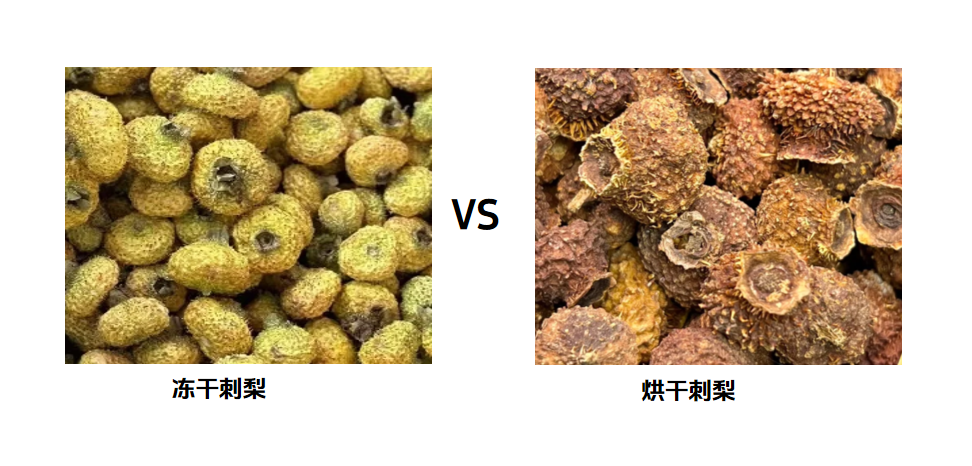 冻干刺梨粉、冻干整颗刺梨生产工艺流程 - 知乎