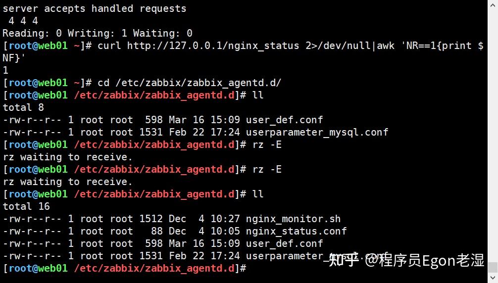  zabbix nginx 