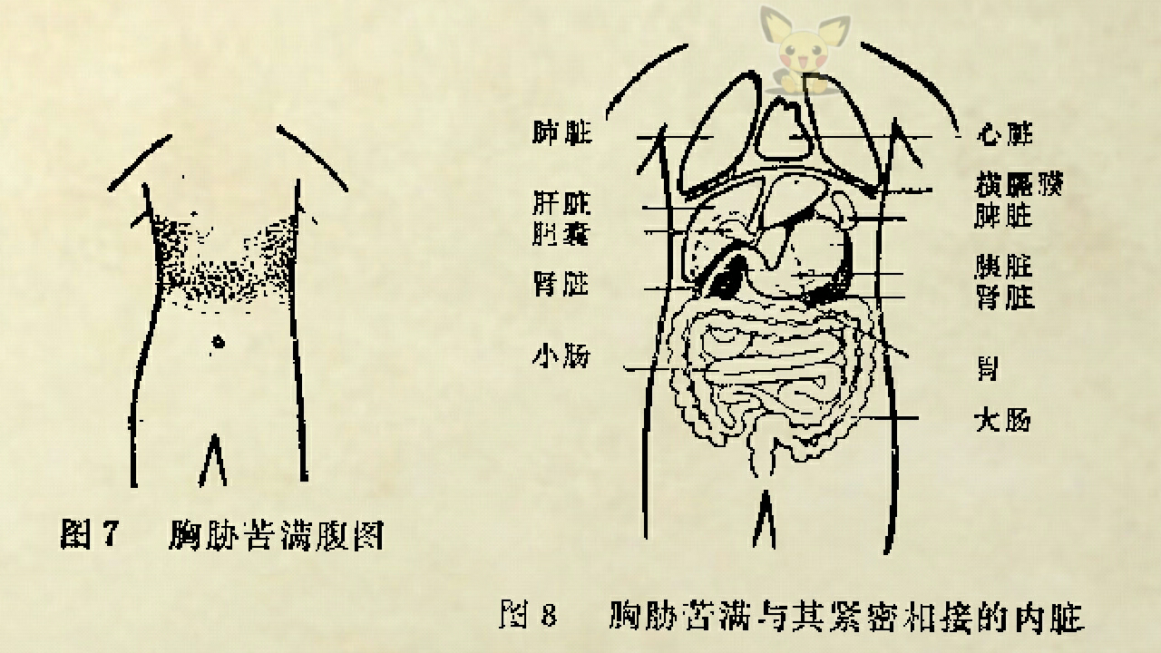 腋前线第五肋间位置图图片