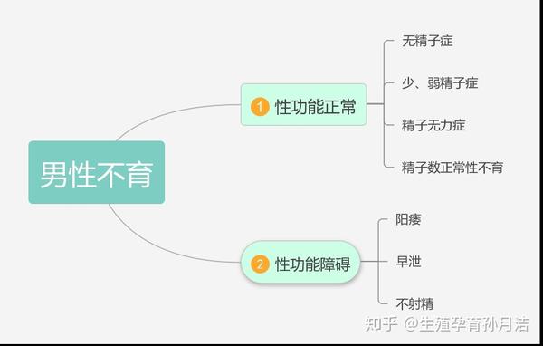 男性不育分为哪几种 知乎