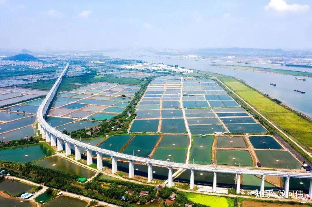 南沙港铁路跨洪奇沥水道特大桥 知乎 
