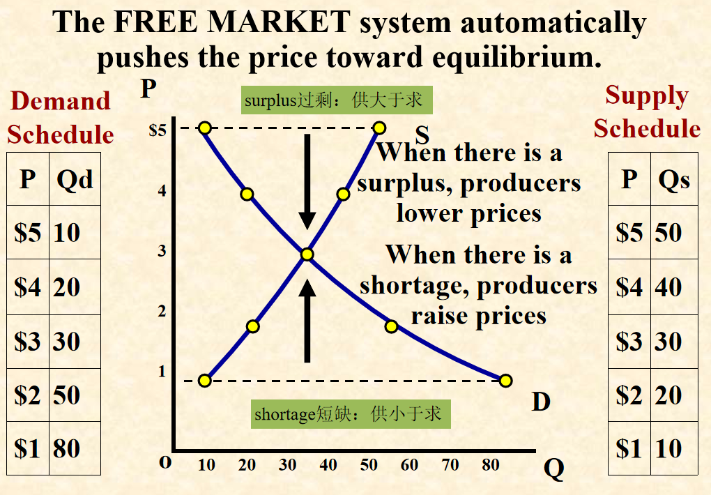 经济学基础:供需关系Demand and Supply - 知乎