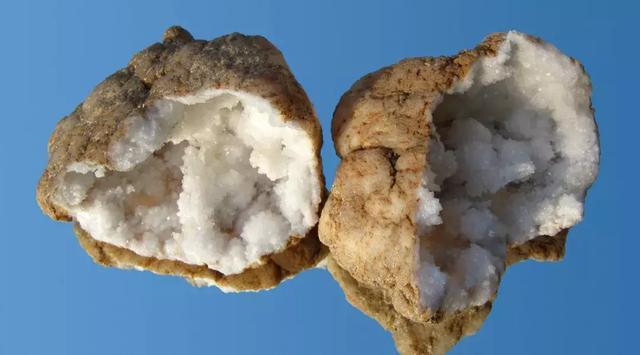 酿酒微生物种类很多,大日上可分为酒化菌(酵母菌),糖化菌(丝状菌)和