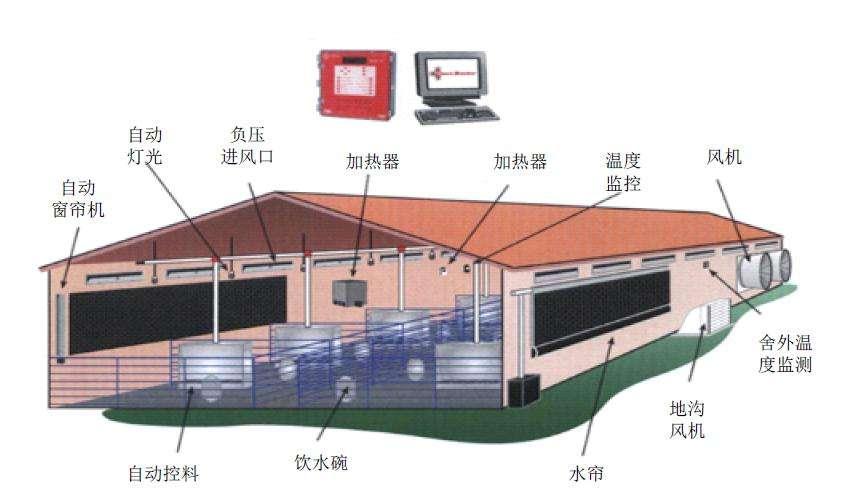 智能養殖管理系統科學調控養雞場