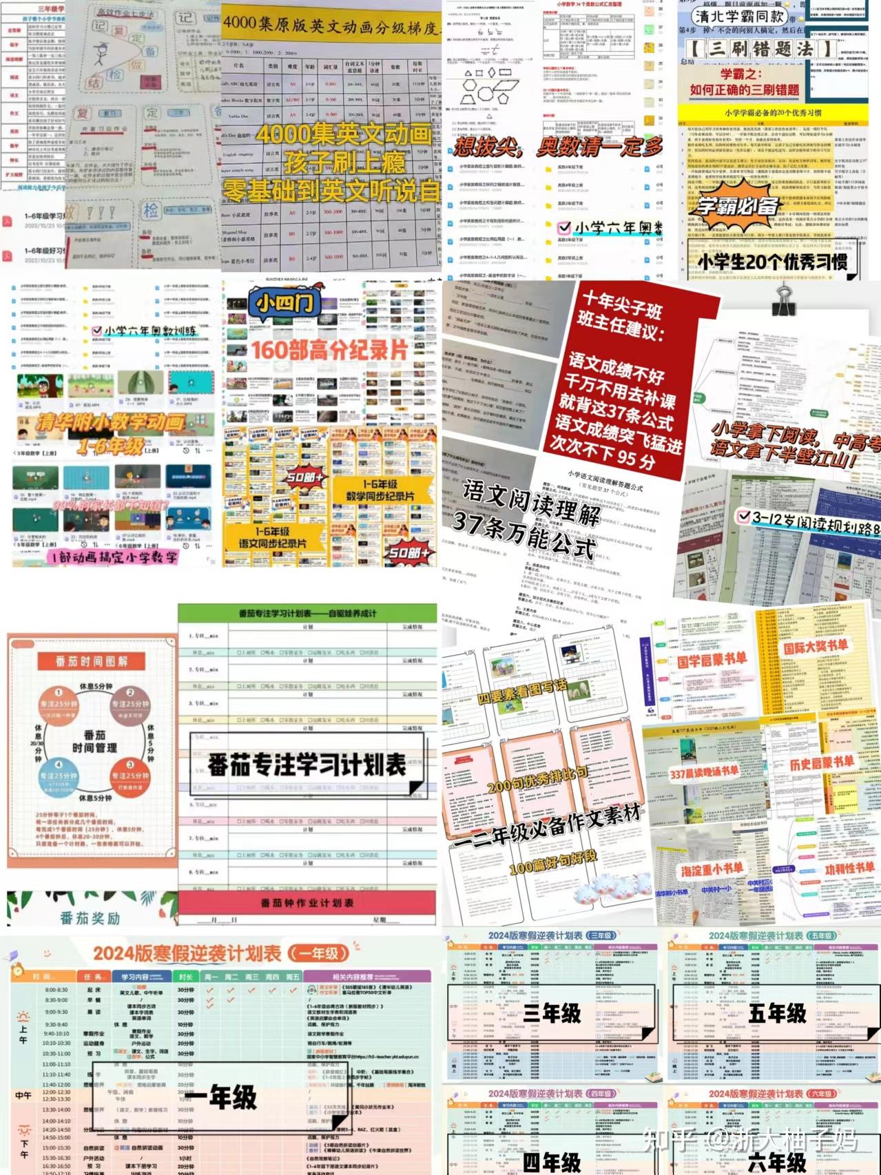 就这样被我爸骗进了985