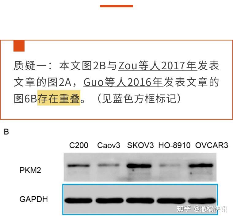 上海市第一人民医院的论文陷入评议风波,因图片重复被质疑 - 知乎