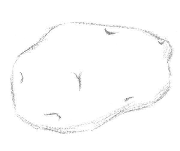 今天给大家分享一下素描土豆的画法一起进入素描入门教程练习素描绘画