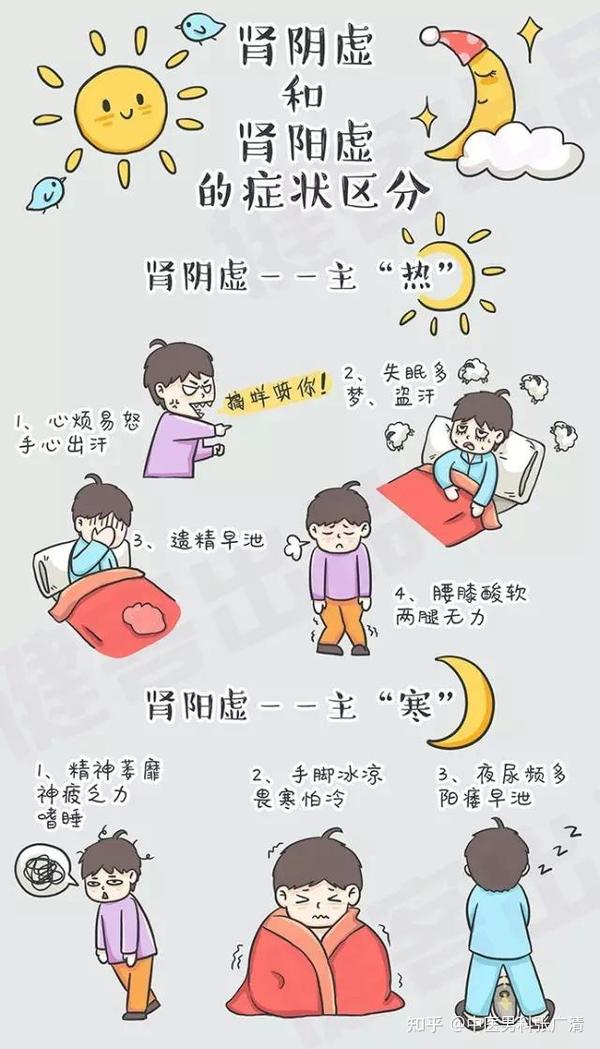 2分钟读懂肾阴虚与肾阳虚,附加一份自测表格! - 知乎