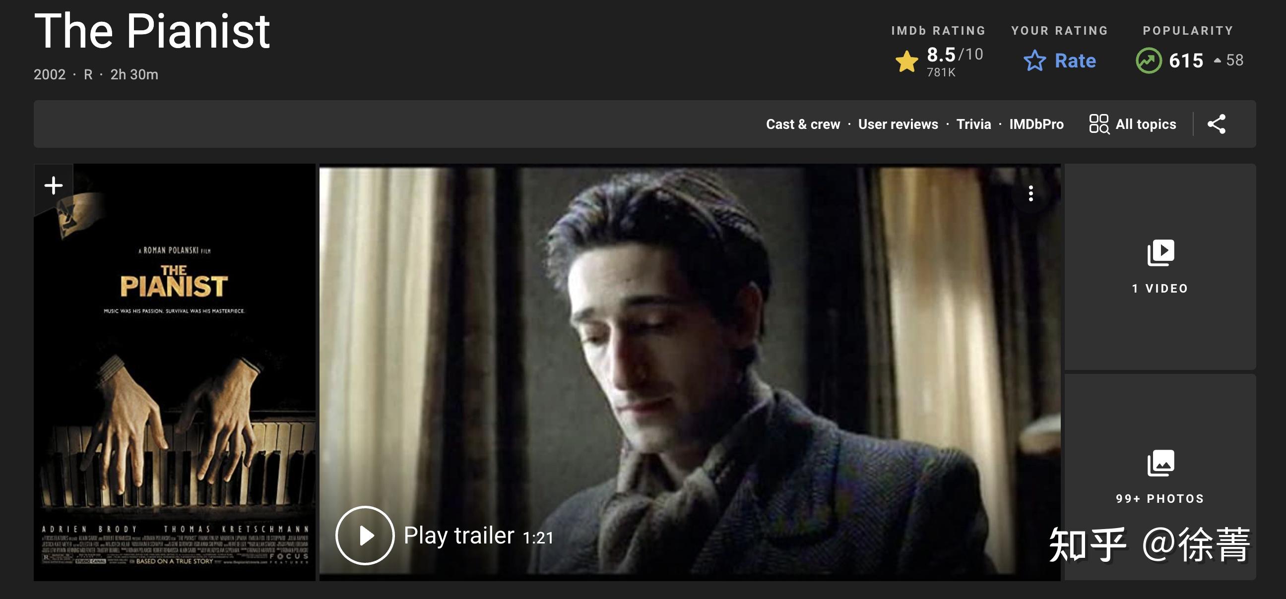 钢琴家英语影评