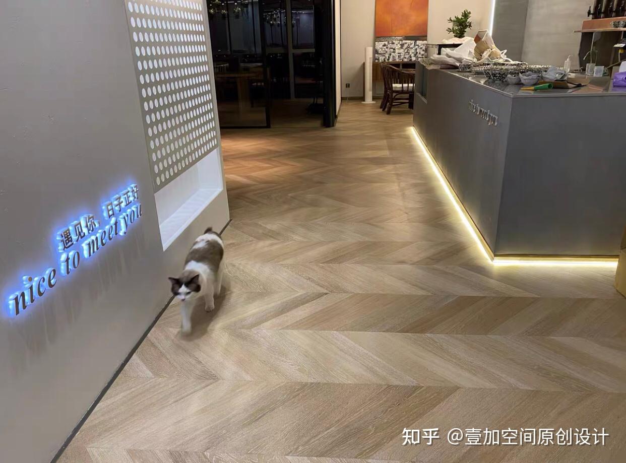 装修选瓷砖还是木地板 - 知乎